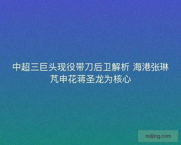 中超三巨头现役带刀后卫解析 海港张琳芃申花蒋圣龙为核心
