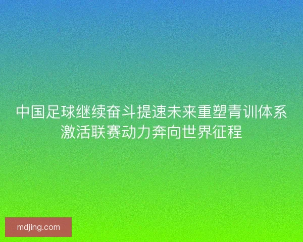 中国足球继续奋斗提速未来重塑青训体系激活联赛动力奔向世界征程
